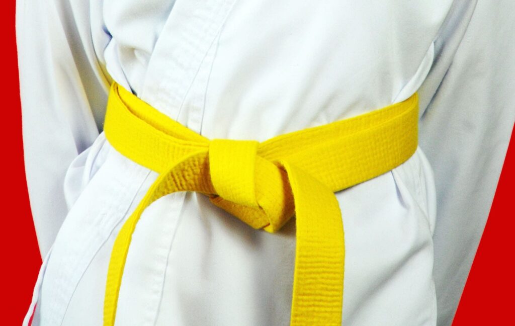 LSS North Dakota-Lean Six Sigma Yellow Belt