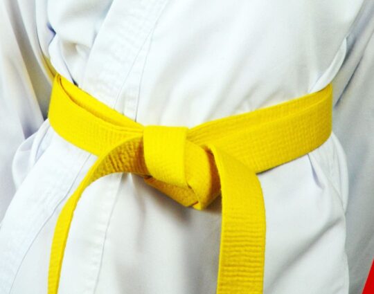 LSS North Dakota-Lean Six Sigma Yellow Belt