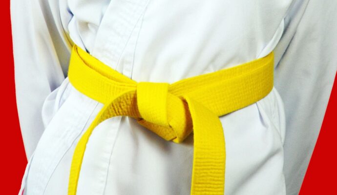 LSS North Dakota-Lean Six Sigma Yellow Belt